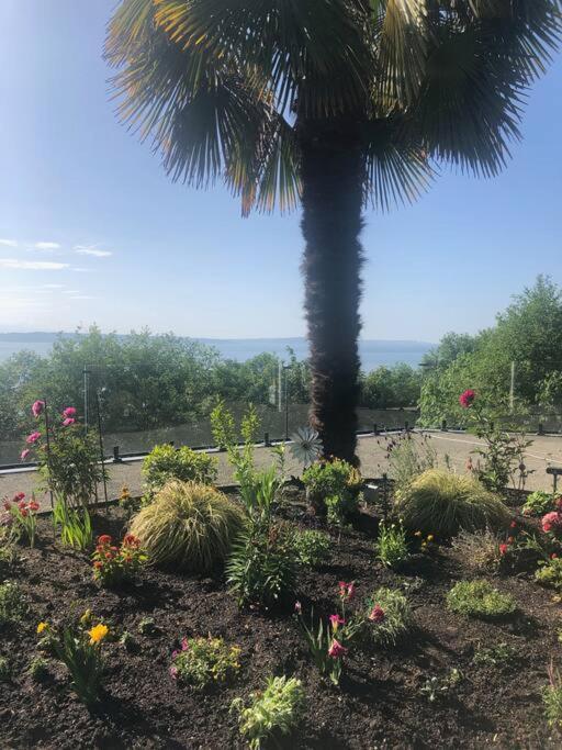 1-Bedroom Seaview Guesthouse On Seattle Luxury Estate With Views Of Olympic Mountains Eksteriør billede