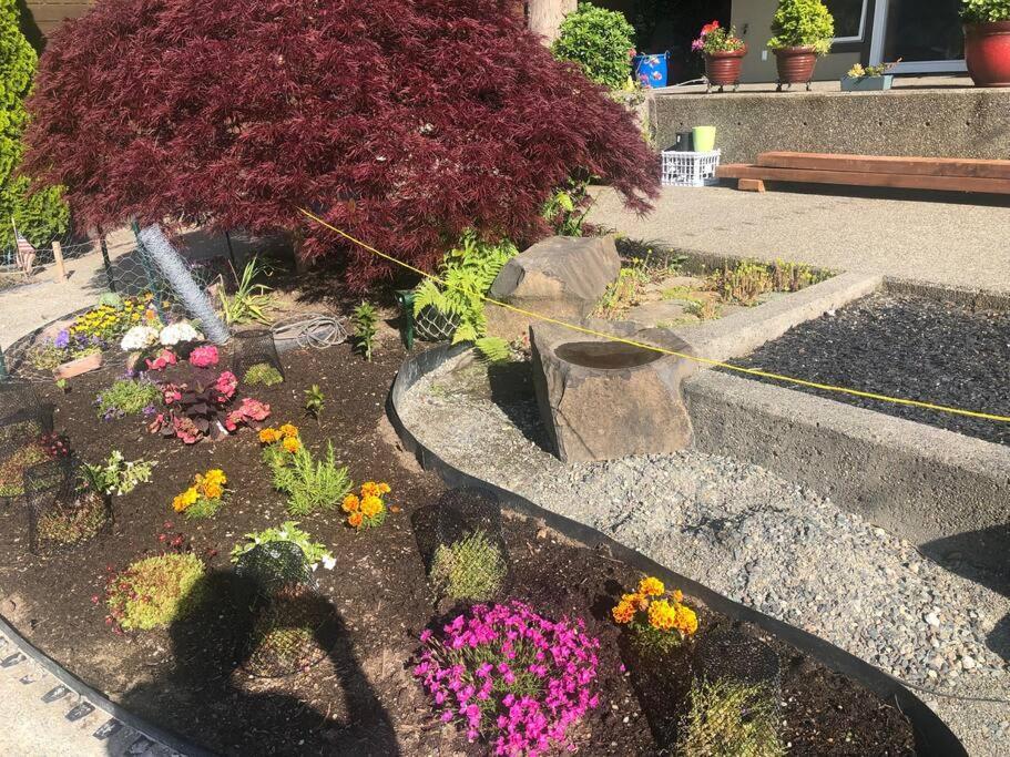 1-Bedroom Seaview Guesthouse On Seattle Luxury Estate With Views Of Olympic Mountains Eksteriør billede